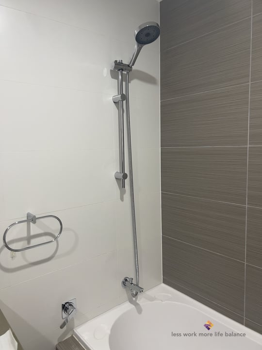 Shower rail installation. Canterbury, NSW, 2193